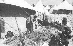 Palestinian-refugees_1949