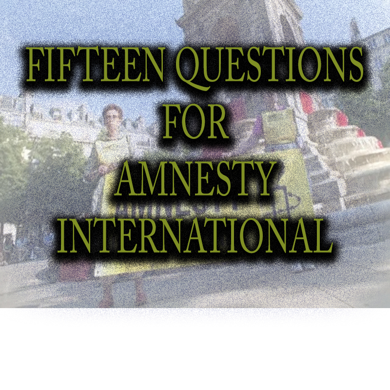 15 questions for Amnesty international