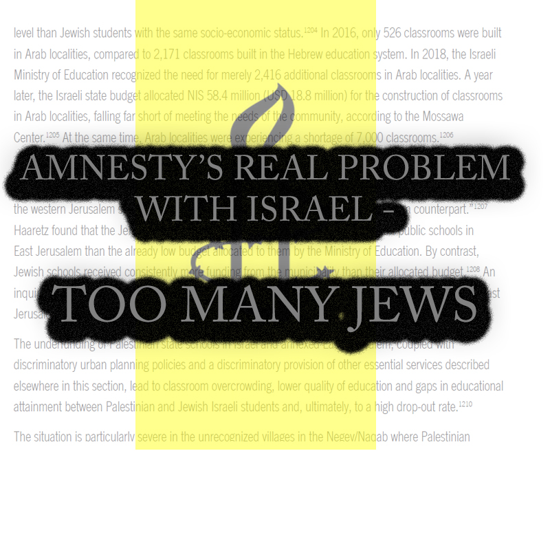 Amnesty's real problem - too many Jews