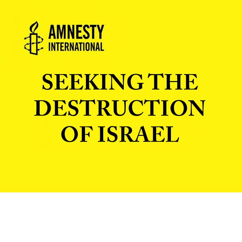 Amnesty seeking the destruction of Israel