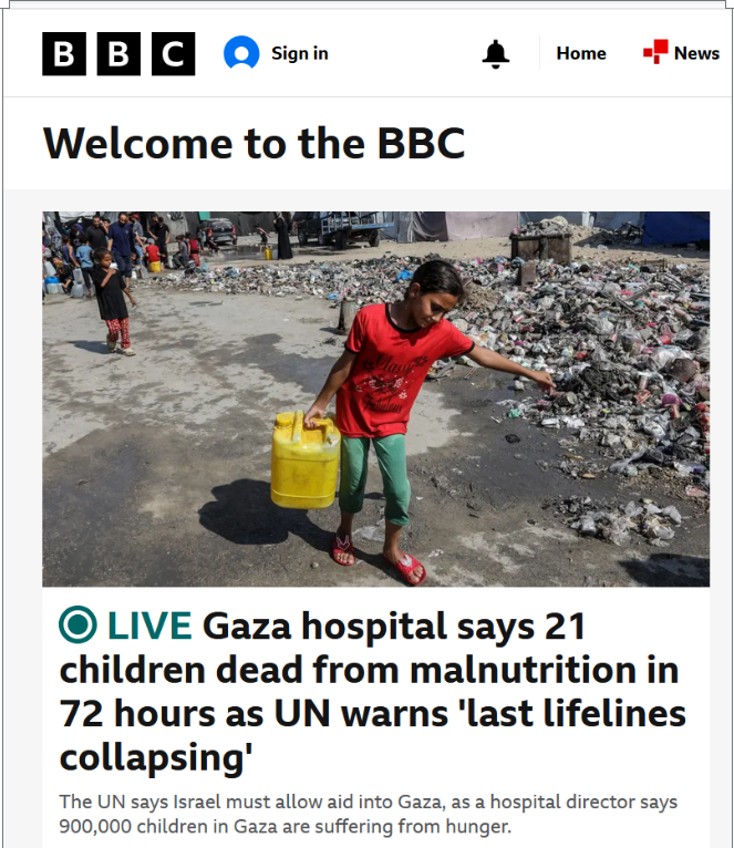 BBC News Hamas puppets