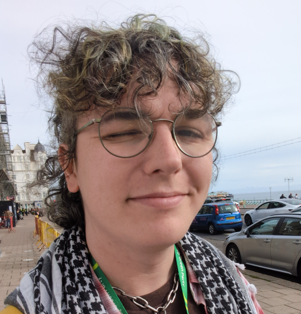 Ashley Routh, Green Party